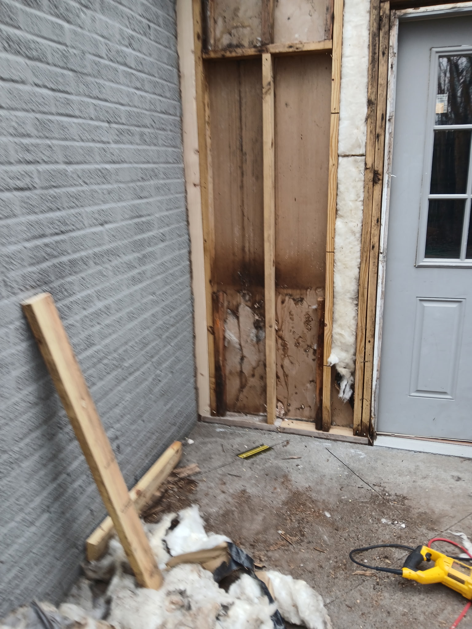 Insulation exposed in the framing of an opened exterior wall