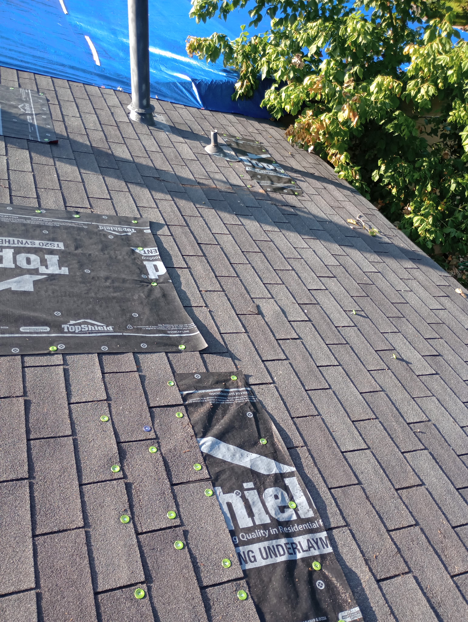Asphalt shingles and synthetic underlayment on a residential roof